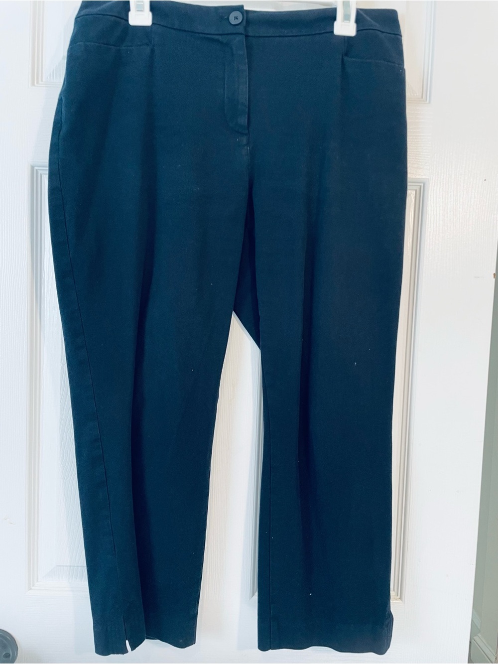 Talbots Curvy Fit Blue Pants